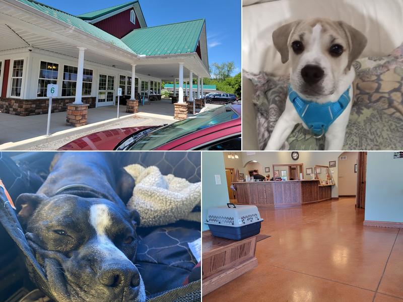 Soehnlen Veterinary Clinic