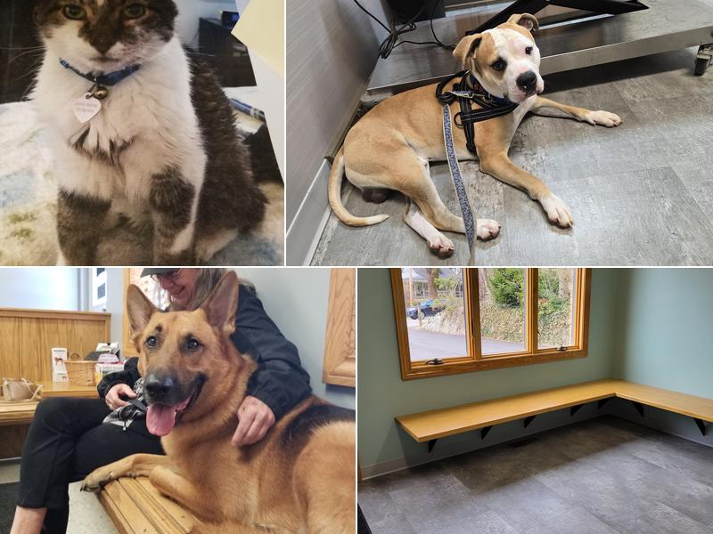 Mogadore Veterinary Hospital