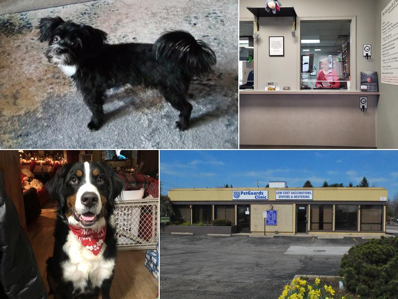 Pet Guards Clinic: A Cuyahoga Falls Veterinarian