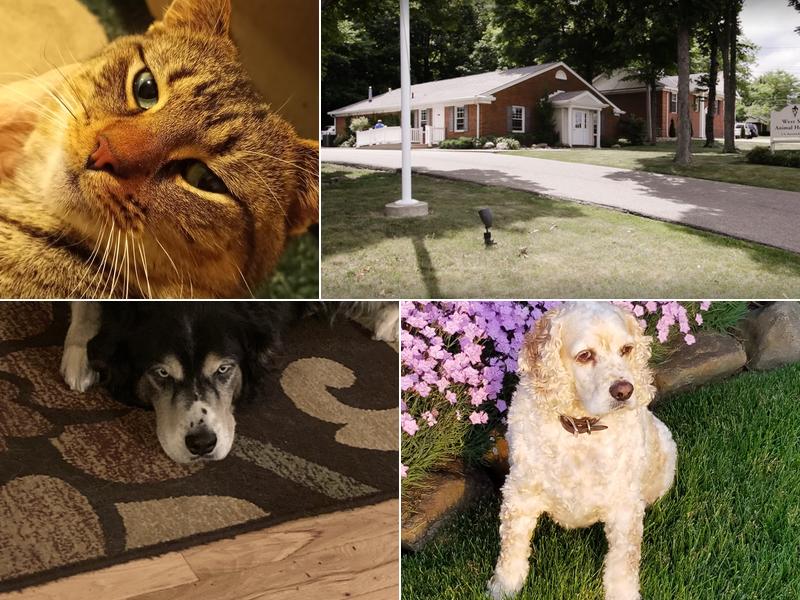 West Side Animal Hospital