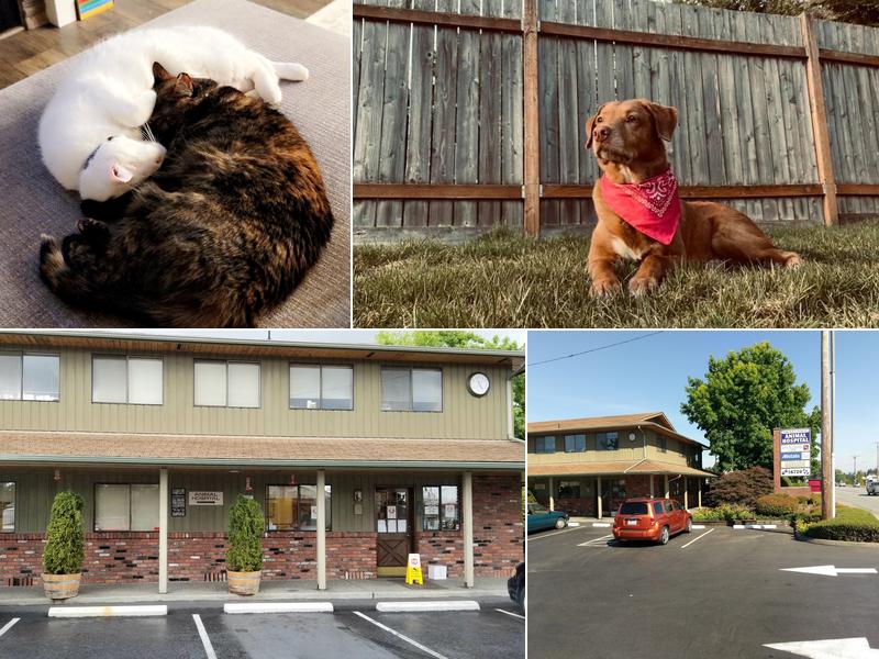 Smokey Point Animal Hospital