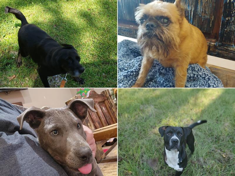 Leaf River Veterinary Services