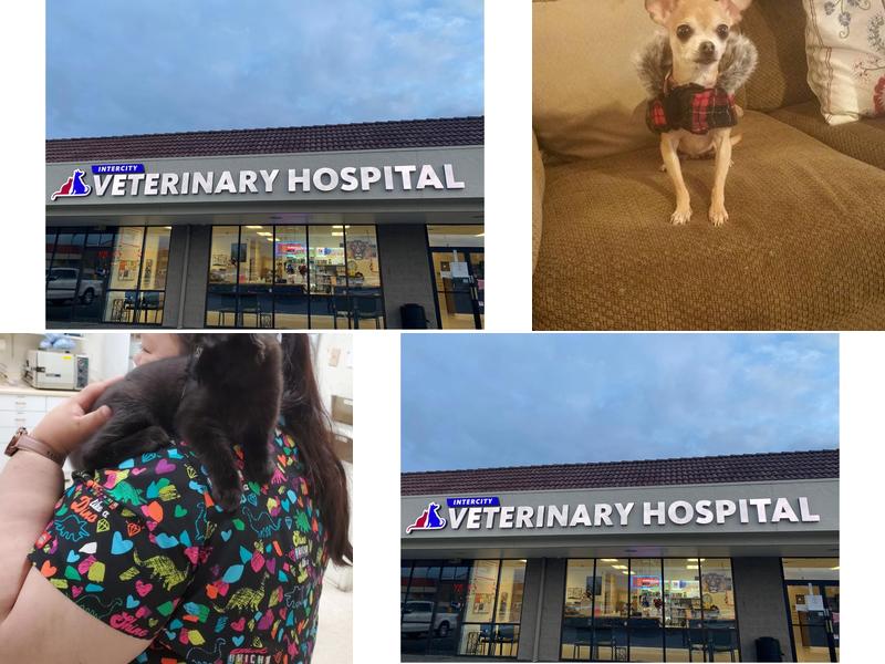 Intercity Veterinary Hospital