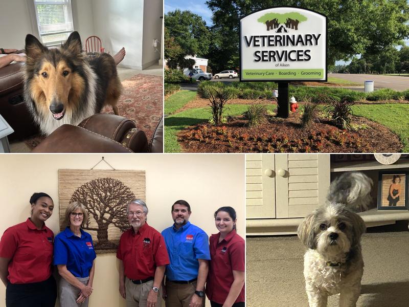 Veterinary Services of Aiken