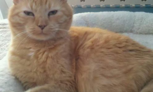 Strock Barry DVM North Augusta