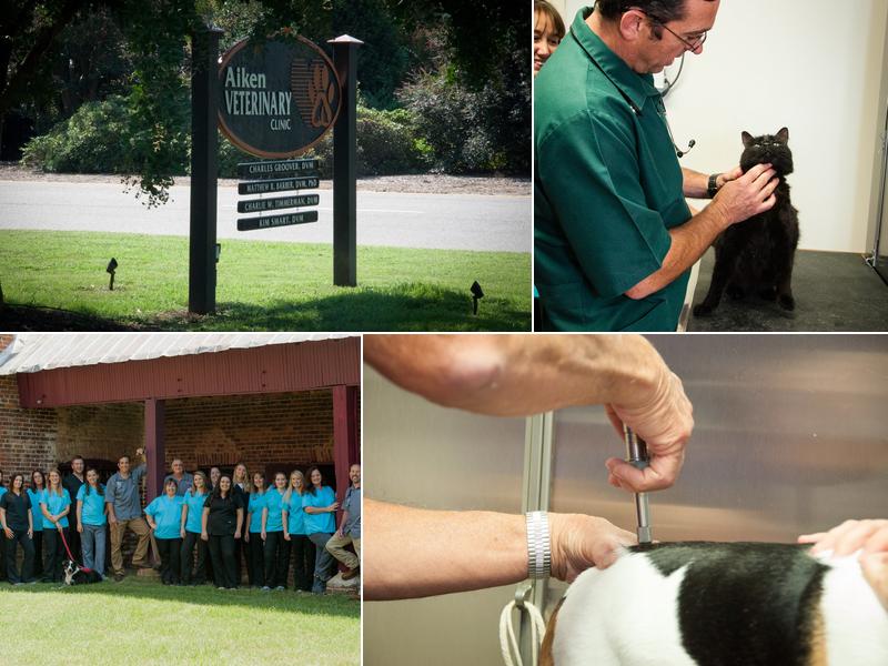 Groover, Charles B, Dvm - Aiken Veterinary Clinic