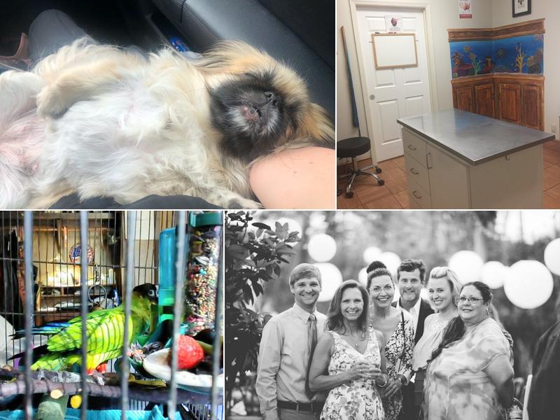 Hammond Hills Animal Hospital: Norman Jason DVM