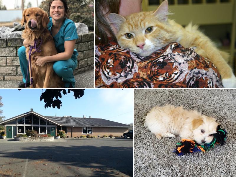 Whatcom Veterinary Hospital
