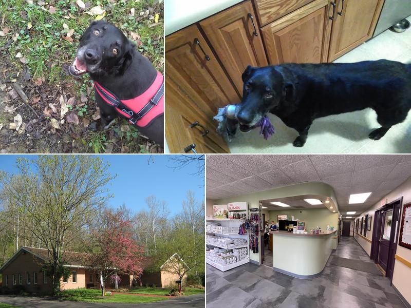 Clough Pike Veterinary Clinic