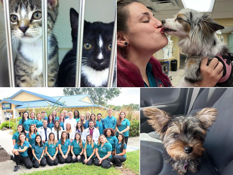 North Bay Animal Hospital