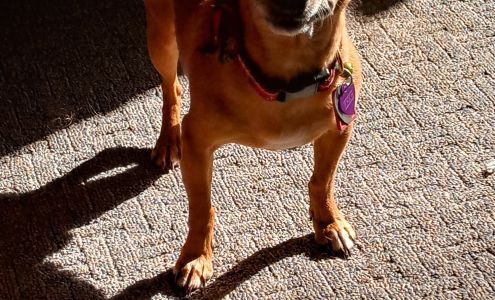 Dogwood Park Animal Clinic