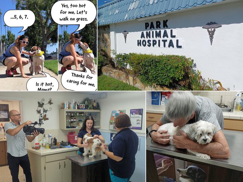 Park Animal Hospital Inc