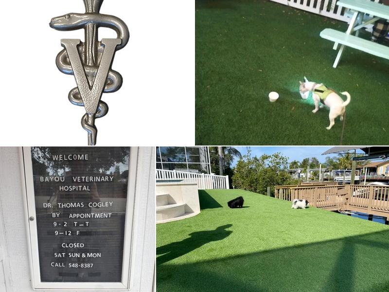 Bayou Veterinary Hospital P.A.