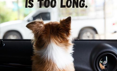 Anstadt George DVM Huber Heights