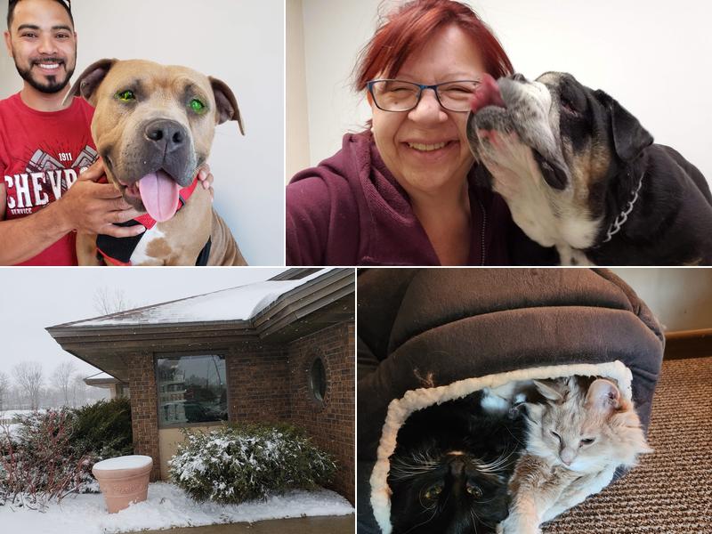 Hastings Veterinary Clinic Ltd