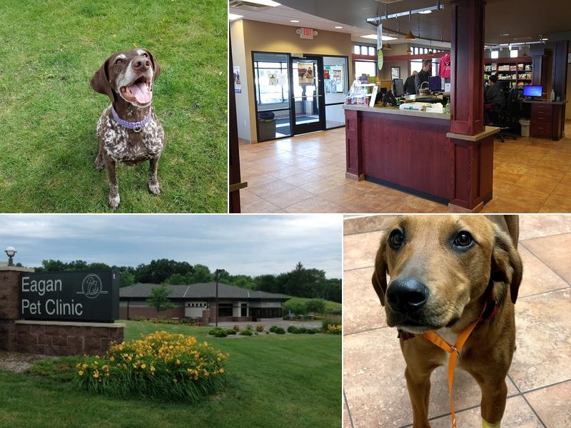 Eagan Pet Clinic