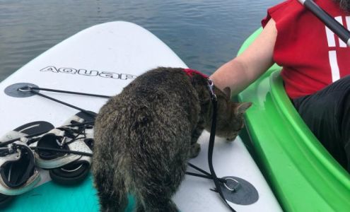 Theuring Paige L DVM West Milton