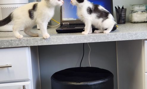 Mendakota Animal Hospital