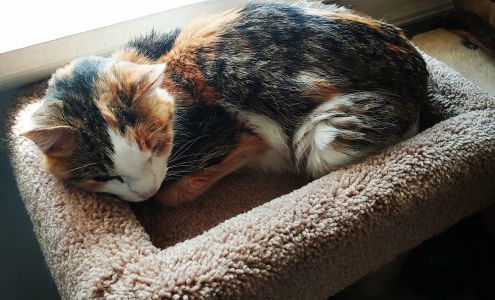 Small Animal Hospital