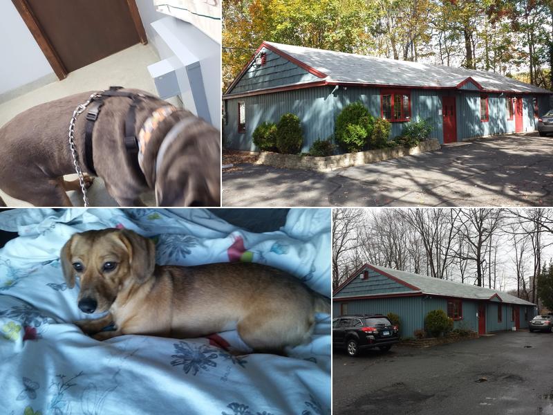 Elm Veterinary Clinic