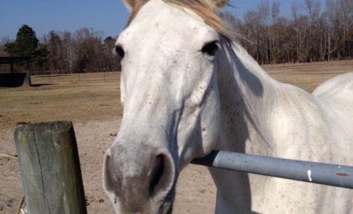 Lost Creek Equine Center Llc