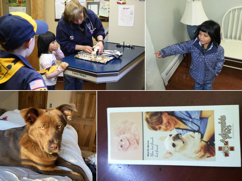 Adorable Pets Veterinary Center