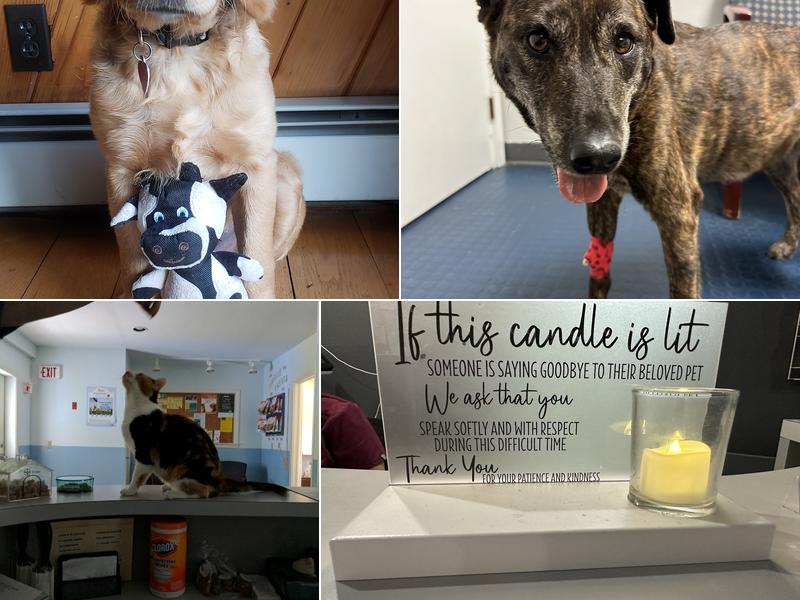 East Haddam Veterinary Clinic