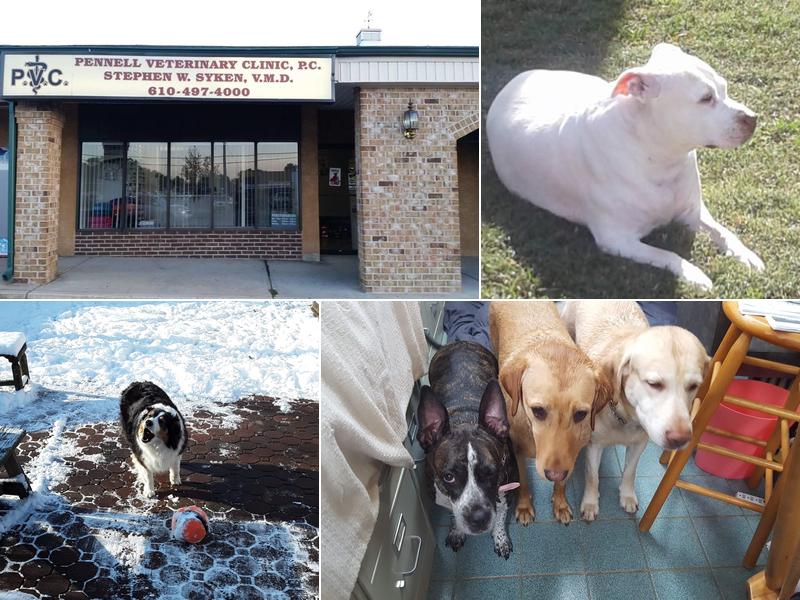 Pennell Veterinary Clinic