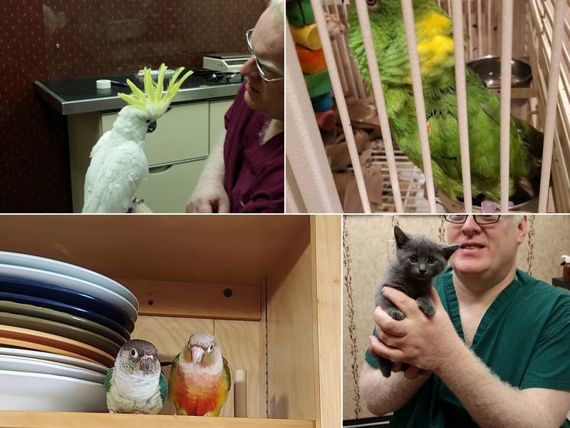 Boot Road Veterinary Clinic