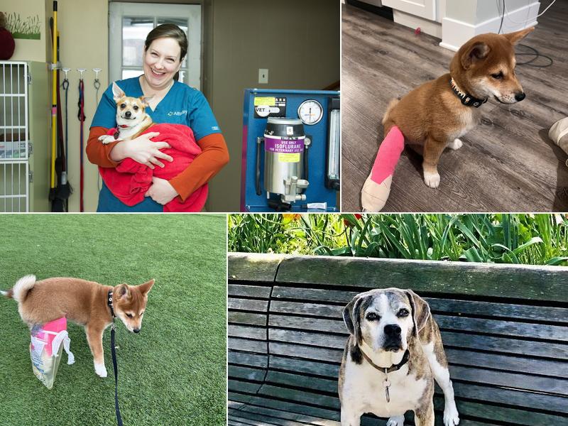 Affinity Veterinary Center of Malvern