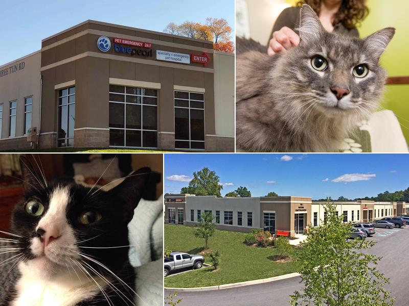 BluePearl Pet Hospital