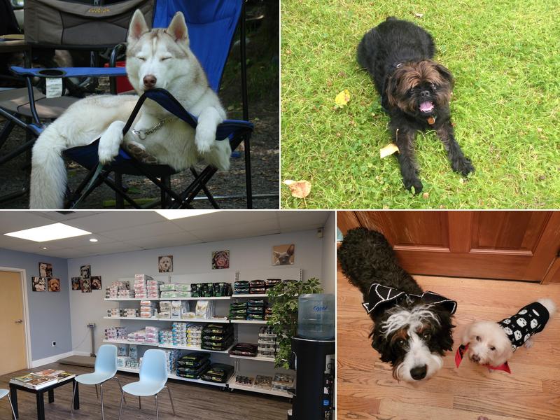 Cedar River Animal Hospital