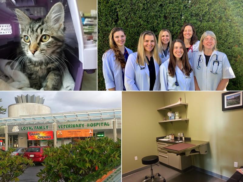 Loyal Family Veterinary Hospital