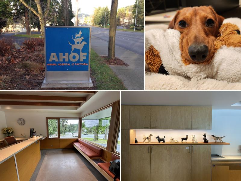 Animal Hospital of Factoria