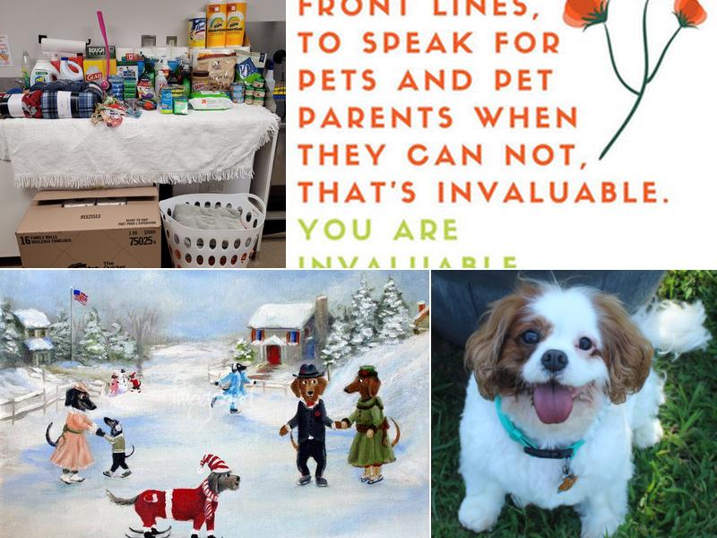 Suffield Veterinary Hospital: Dawn Burke, DVM