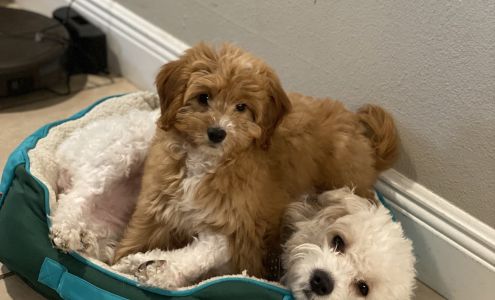 Edgewater Animal Hospital