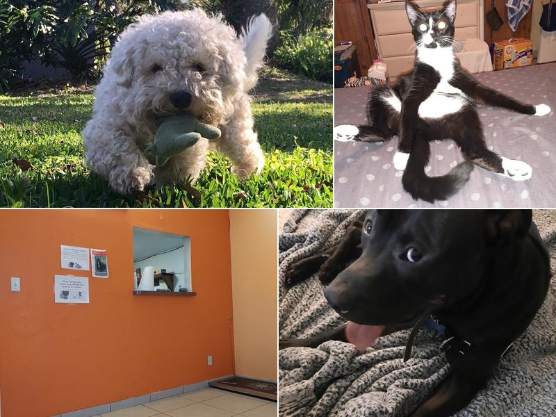 Lee Rd. Pet Doc Hospital