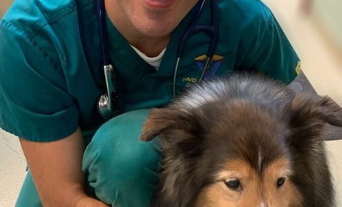 Animal Hospital at Baldwin Park