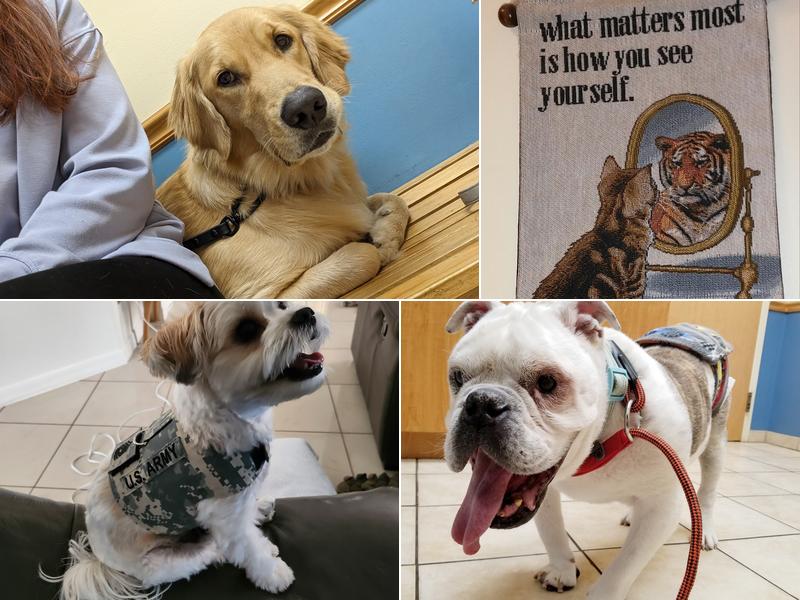 Park Avenue Animal Hospital