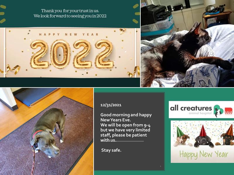 All Creatures Animal Hospital