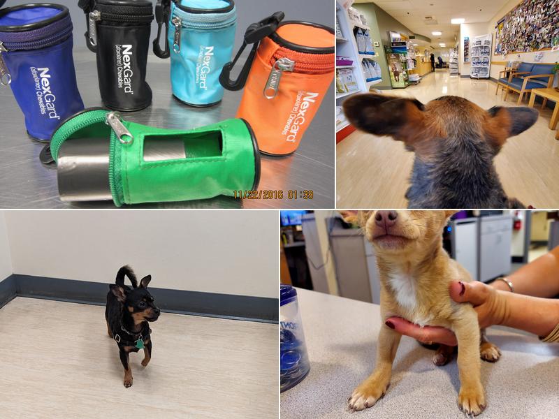 West Seattle Animal Hospital