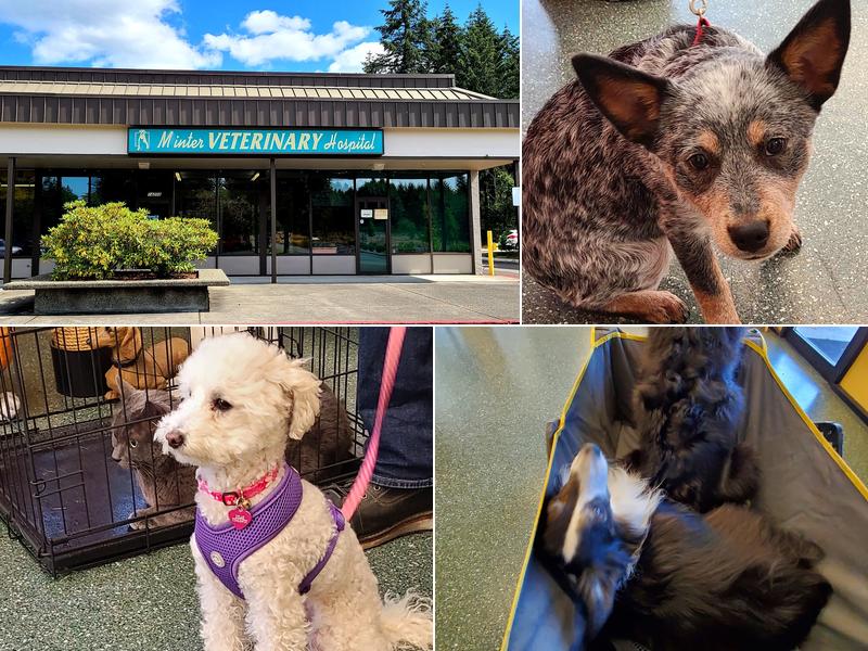 Minter Veterinary Hospital