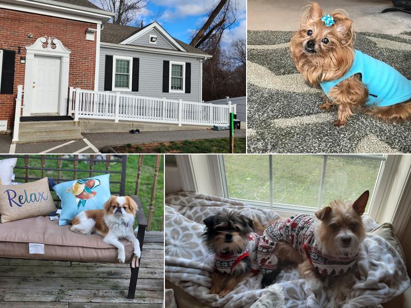 Norwichtown Veterinary Hospital