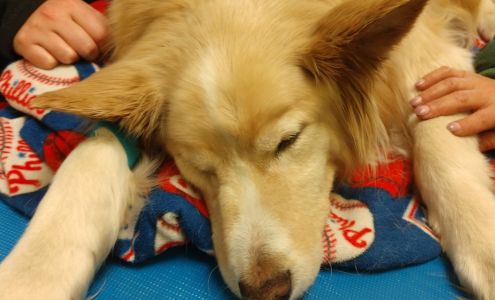 Caring Hands Veterinary Clinic