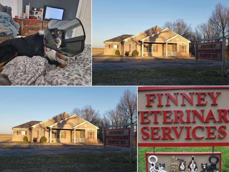 Finney Veterinary Services