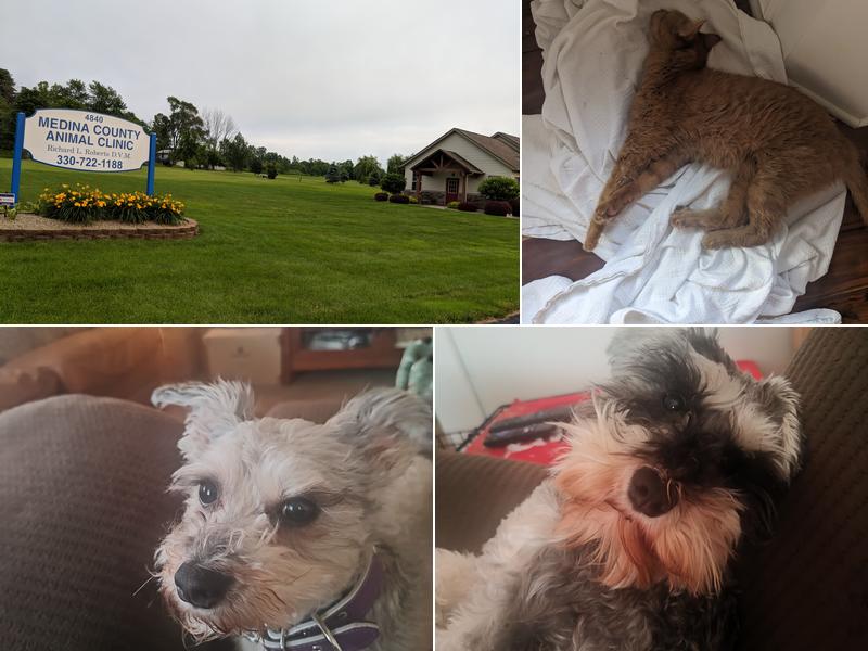 Southern Medina Veterinary Clinic