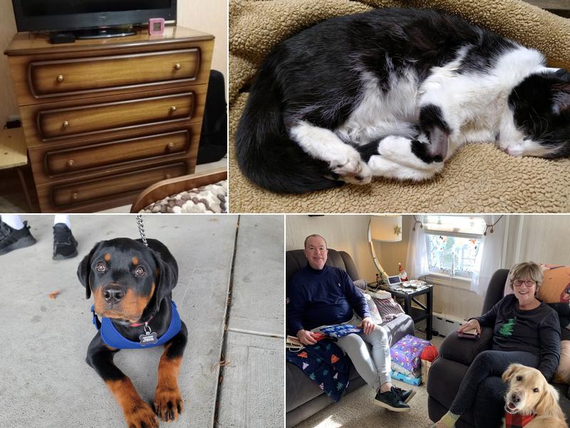 Veterinary Specialty & Emrgency Center: Chapman Peter DVM