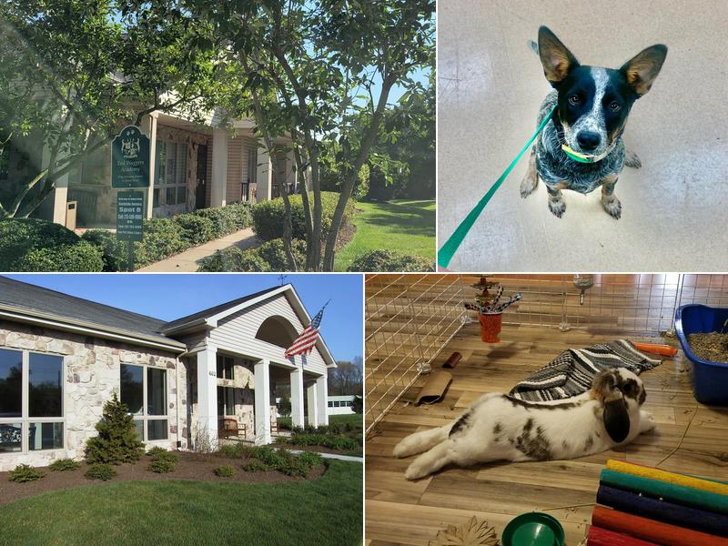 Indian Walk Veterinary Center