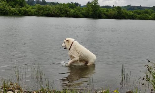 Greenwood Animal Hospital