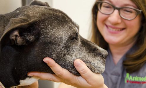 The Animedic Veterinary Hospital